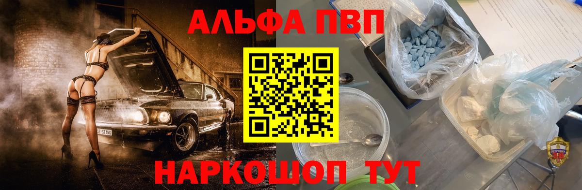 A PVP СК КРИС Сыктывкар
