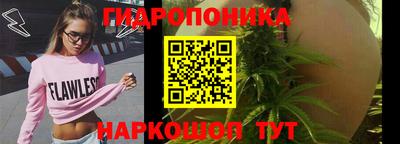 Альфа ПВП Новодвинск