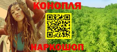 Альфа ПВП Новодвинск