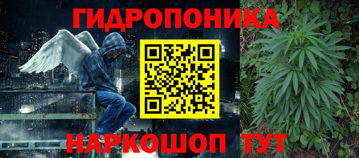 Бошки марихуана марихуана Сыктывкар